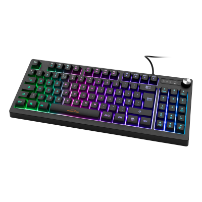 Deltaco Gaming Πληκτρολόγιο Μεμβράνης Ενσύρματο TKL RGB UK Layout Μαύρο GAM-110-UK