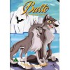 Balto Wolf Quest - DVD Used