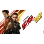 Ο Ant-Man και η Σφήκα - Ant-Man and the Wasp (DVD Used) #20527