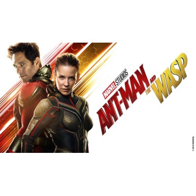 Ο Ant-Man και η Σφήκα - Ant-Man and the Wasp (DVD Used) #20527