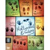 Παίζοντας στα Τυφλά - Hollywood Ending (DVD Used) #02276