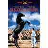 Η Επιστροφή του Μαύρου Αλόγου - The Black Stallion Returns (DVD Used) Συλλεκτικό #02282
