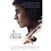 Νουρέγιεφ: Το Λευκό Κοράκι - The White Crow (DVD Used) #20895