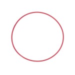 Olympus POL-EP03 O-Ring for PT-EP10//PT-EP06L/PT-EP05L/PT-EP03 Underwater