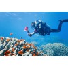 Olympus UFL-3 UNDERWATER FLASH for Underwater Case