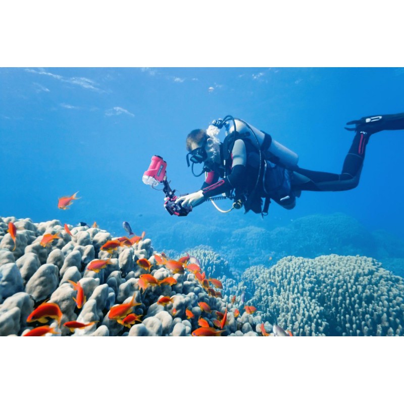 Olympus UFL-3 UNDERWATER FLASH for Underwater Case