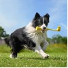 Insta360 GO 3 Fetch Stick