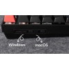 Keychron K8 V2 (K8X-J4) QMK Wireless Mechanical Keyboard Banana Switch HotSwap RGB 80% US Lay Alum